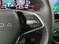 Skoda Octavia Combi 2.0 TDI Selection Aut MATRIX RADAR Grau - thumbnail 19