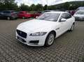 Jaguar XF Pure Automatik 1.Hand+Standheizung+Kamera+Navi+SHZ Blanc - thumbnail 1