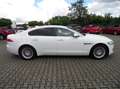 Jaguar XF Pure Automatik 1.Hand+Standheizung+Kamera+Navi+SHZ Blanc - thumbnail 5