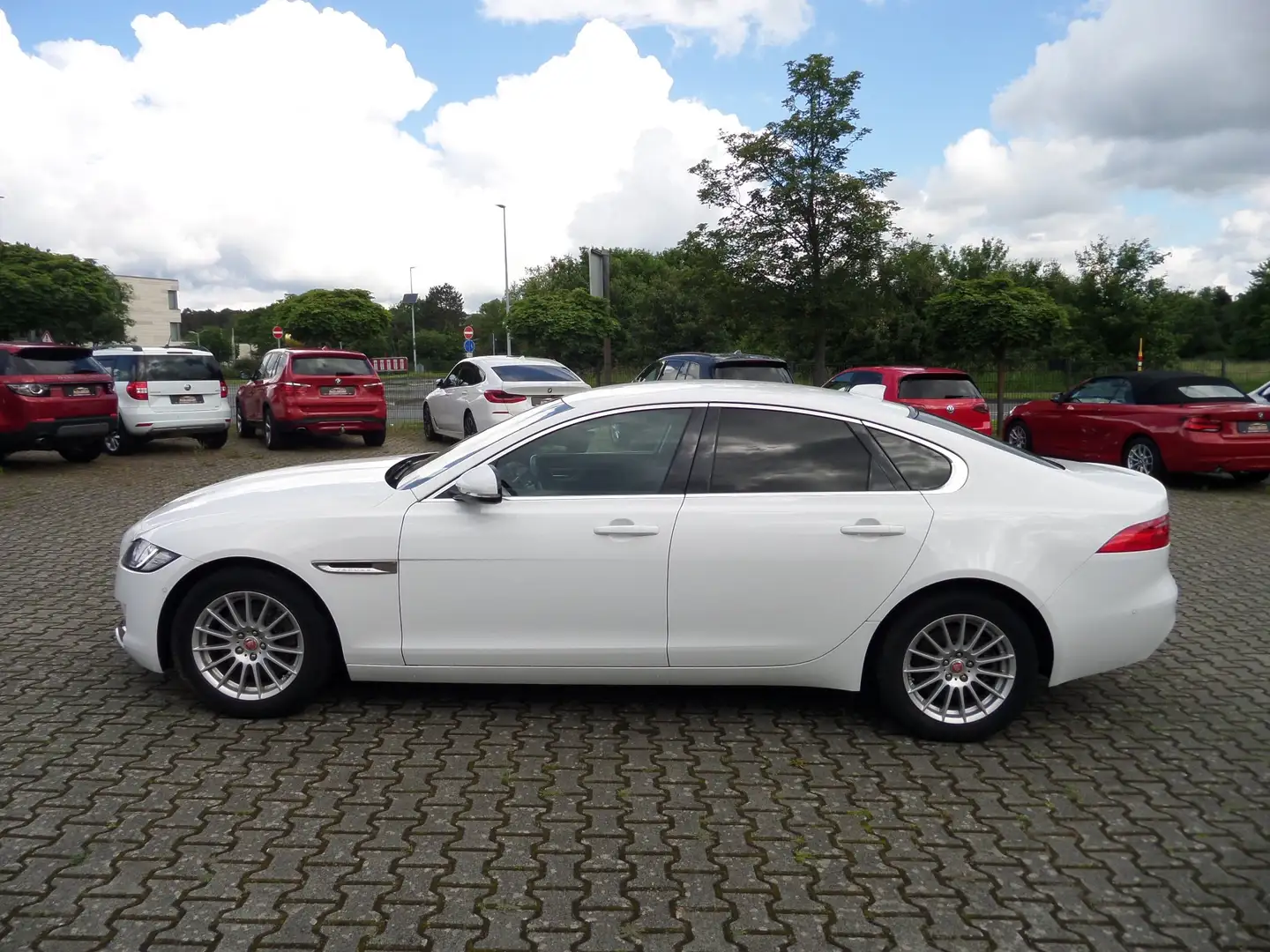 Jaguar XF Pure Automatik 1.Hand+Standheizung+Kamera+Navi+SHZ Blanc - 2