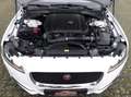 Jaguar XF Pure Automatik 1.Hand+Standheizung+Kamera+Navi+SHZ Blanc - thumbnail 15