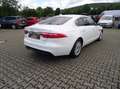 Jaguar XF Pure Automatik 1.Hand+Standheizung+Kamera+Navi+SHZ Blanc - thumbnail 6