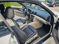 BMW 118 118d Cabrio Attiva Weiß - thumbnail 8