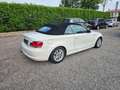 BMW 118 118d Cabrio Attiva Weiß - thumbnail 6