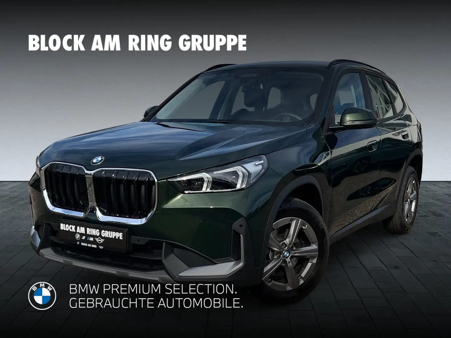 BMW X1 sDrive18d SH ALED DA Prof. PA+ NAVI Prof. Grün - 1