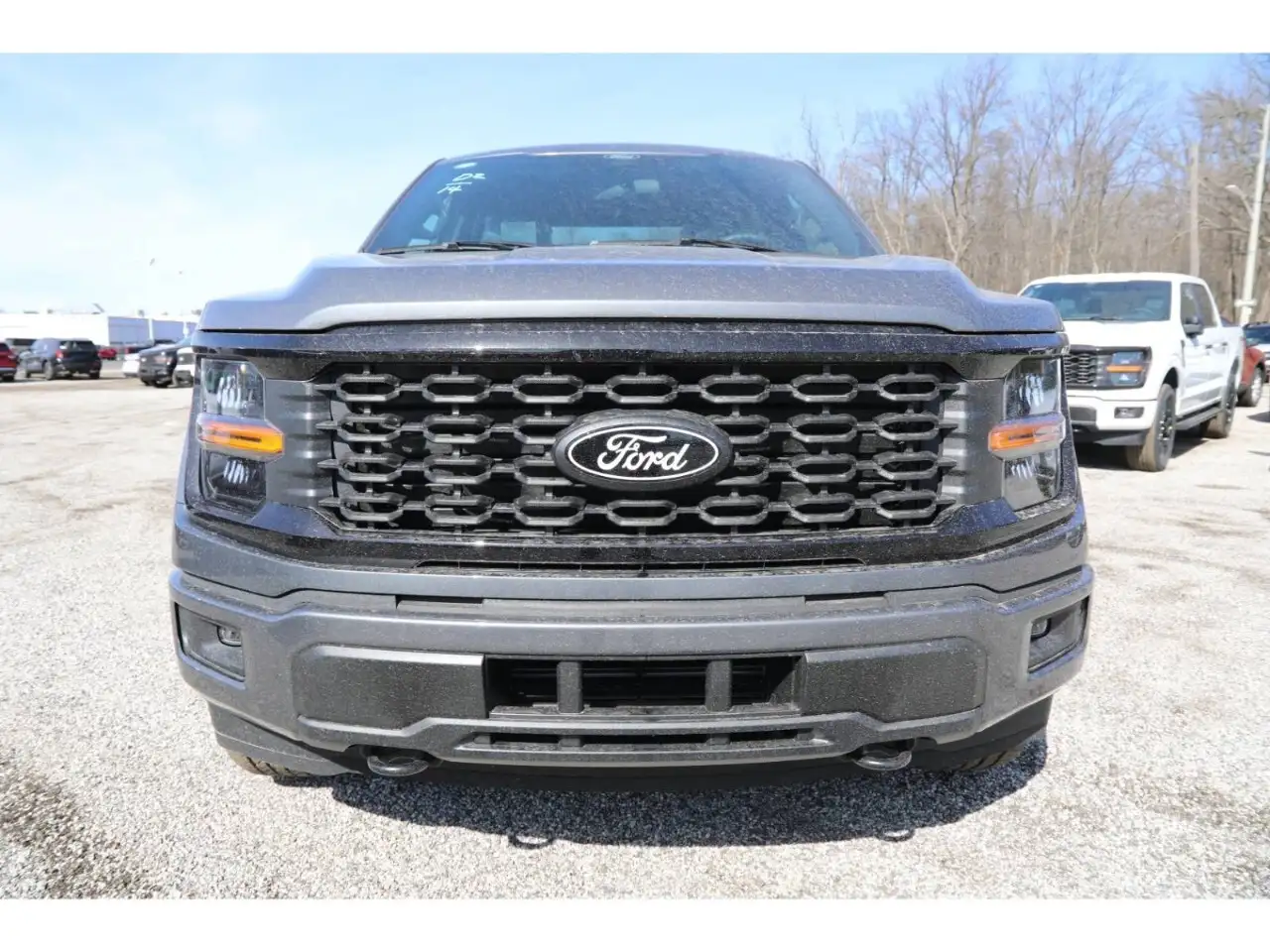 Ford F 150 снимка Ford F 150