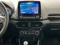 Ford EcoSport 1.0 EcoBoost ST-Line (EURO 6d PTS Cam Grau - thumbnail 10
