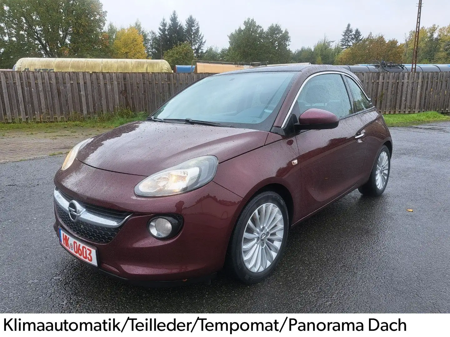 Opel Adam Glam Klimaautomatik Leder Tüv Neu Mauve - 1