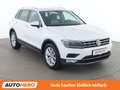 Volkswagen Tiguan 2.0 TDI Highline 4Motion BlueMotion Tech Weiß - thumbnail 8