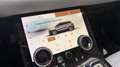 Land Rover Range Rover Evoque 2.0D I4 MHEV SE AWD Aut. 163 Negro - thumbnail 18
