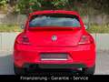 Volkswagen Beetle 1.4 TSI Fender/XENON/2 HAND/160PS/NAVI Rot - thumbnail 6