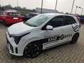 Kia Picanto 3ªs. 1.0 12V 5 porte GT Line Blanc - thumbnail 1