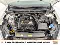 Volkswagen Taigo 1.0 tsi r-line 110cv Bianco - thumbnail 13