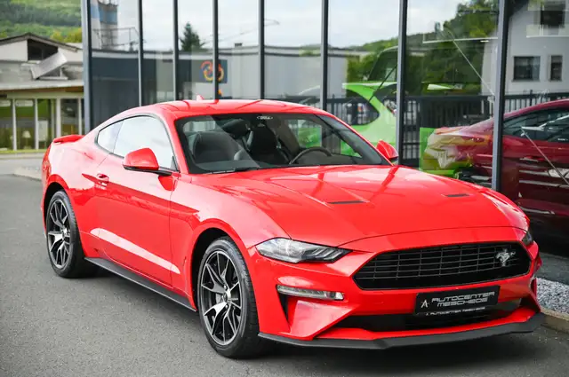 Ford Mustang view 4