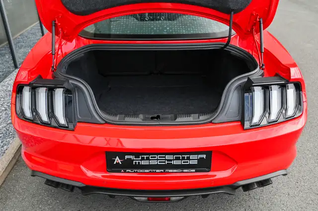 Ford Mustang view 9