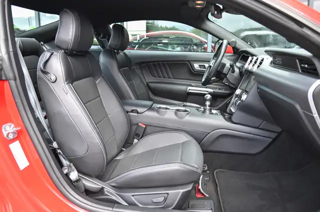 Ford Mustang view 13