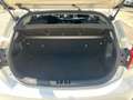 Kia Rio 1.2 MPi Evolution Wit - thumbnail 13