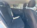 Kia Rio 1.2 MPi Evolution Wit - thumbnail 14