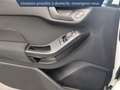 Ford Fiesta 1.0 EcoBoost 95ch Connect Business Nav 5p Weiß - thumbnail 20