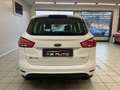 Ford B-Max B-Max 1.0 ecoboost 100cv Blanco - thumbnail 5