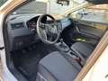 SEAT Ibiza 1.6TDI CR S&S Reference 95 Blanco - thumbnail 8