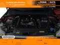 SEAT Arona 1.0 ecotsi xperience 95cv Rosso - thumbnail 14
