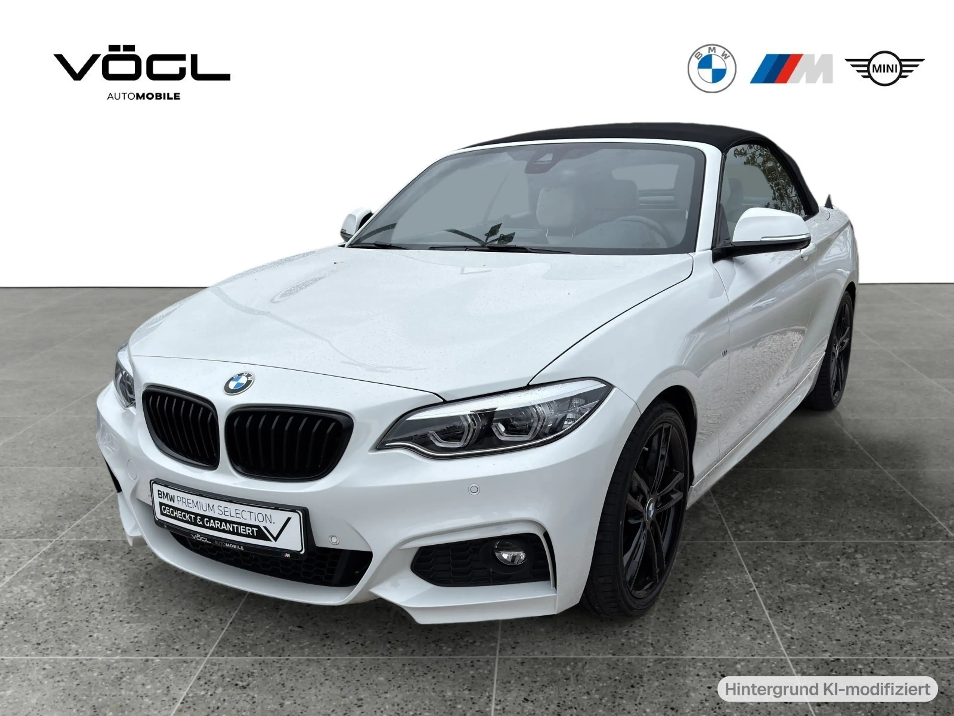 BMW 220 i Cabrio M Sportpaket Komfortzugang HiFi AHK