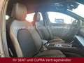 CUPRA Formentor 1.5 eTSI 110kW DSG*NAVI*CAM*Full Link* Grau - thumbnail 12