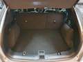 Ford Kuga 1.5 TDCI 120CV ST-LINE Gris - thumbnail 19
