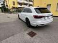 Audi A4 allroad 40 TDI 204 CV S tronic Business Evolution Bianco - thumbnail 4