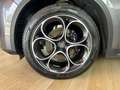 Alfa Romeo Stelvio Stelvio 2.2 Turbodiesel 210 CV AT8 Q4 Executive - thumbnail 16