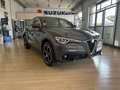 Alfa Romeo Stelvio Stelvio 2.2 Turbodiesel 210 CV AT8 Q4 Executive - thumbnail 3