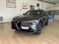 Alfa Romeo Stelvio Stelvio 2.2 Turbodiesel 210 CV AT8 Q4 Executive - thumbnail 1