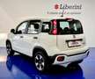 Fiat Panda 1.0 FireFly S&S Hybrid City Cross UConnect Blanc - thumbnail 24