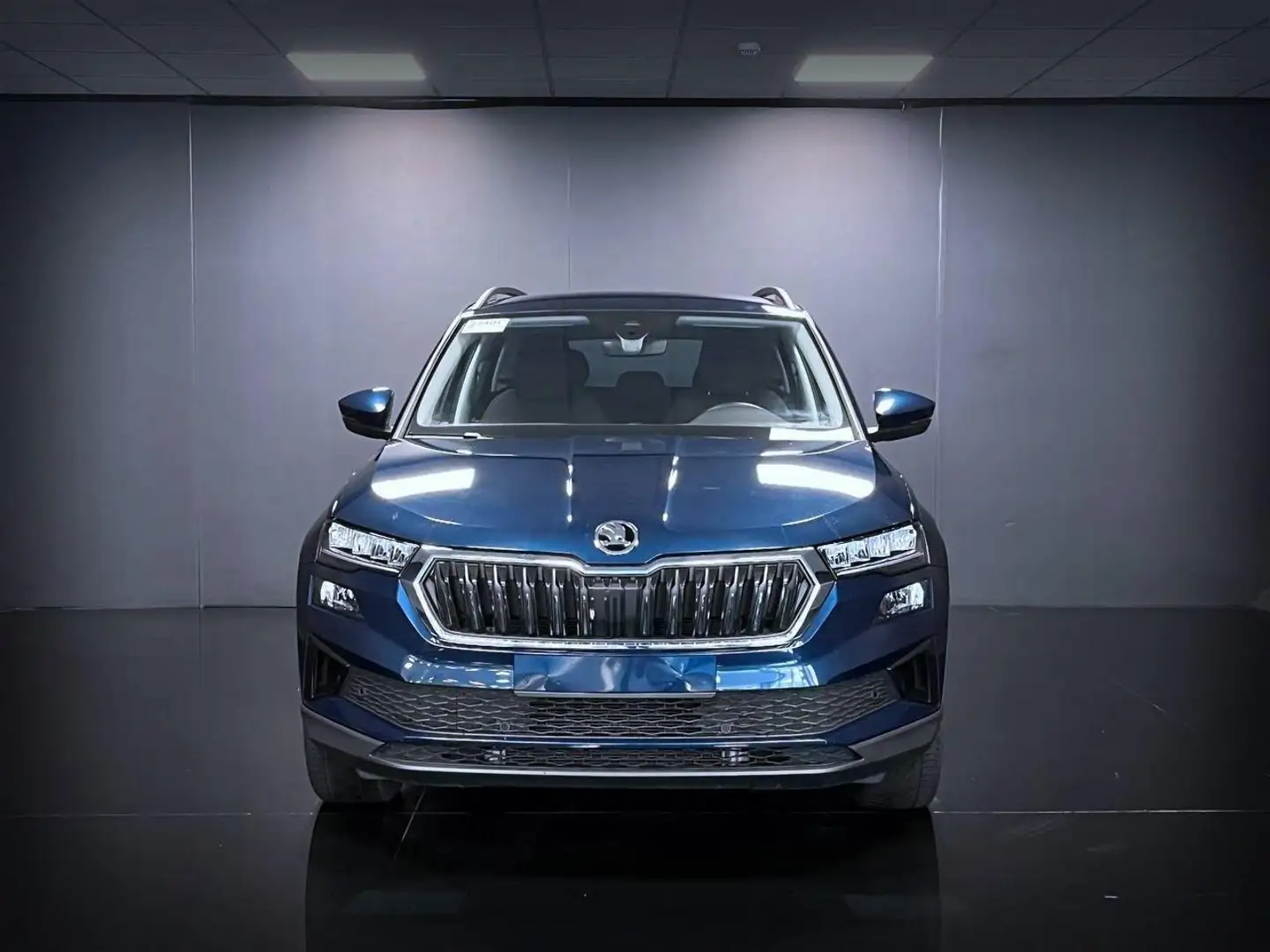 Skoda Karoq 2.0 TDI 116CV DSG Executive Blu/Azzurro - 2