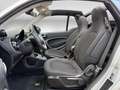 smart forTwo electric drive / EQ Grau - thumbnail 15