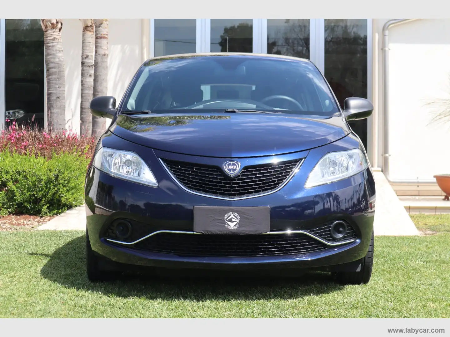Lancia Ypsilon 1.2 69 CV 5p. Silver Bleu - 2