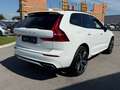 Volvo XC60 R Design AWD*LED*Leder*KeylessGo* Weiß - thumbnail 4