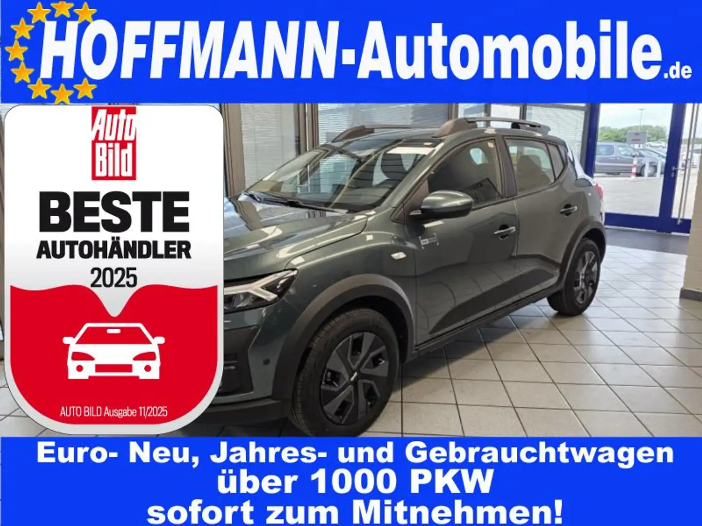 Dacia Sandero Stepway Expression LED-Scheinw.,Kamera Grün - 1
