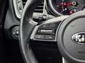 Kia Ceed SW / cee'd SW cee'd Sw. Platinum *Leder*Pano*Ahk*Led*JBL*Voll* Bleu - thumbnail 38