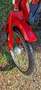 Piaggio Ciao Rood - thumbnail 4