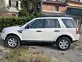 Land Rover Freelander Freelander II 2007 2.2 td4 Sport LE - thumbnail 2