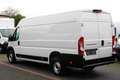 Peugeot Boxer 35 L4H2 140 *360°PDC*Kamera*Tempomat*Holz Weiß - thumbnail 10