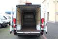 Peugeot Boxer 35 L4H2 140 *360°PDC*Kamera*Tempomat*Holz Weiß - thumbnail 4