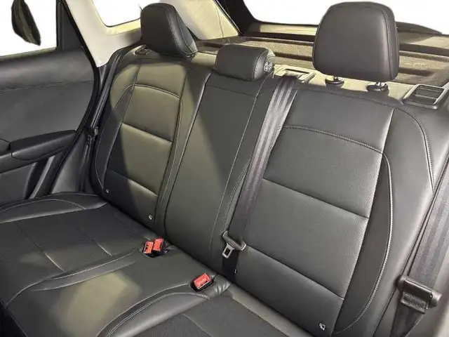 MG ZS view 9