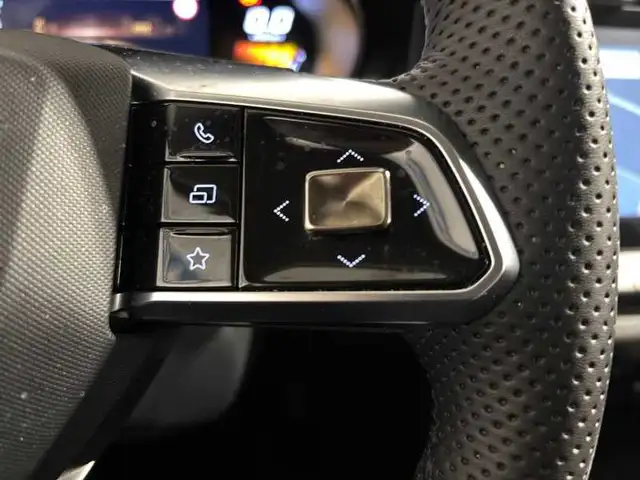 MG ZS view 19