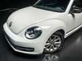 Volkswagen Beetle 1.2 TSI 105 CLUB Blanc - thumbnail 36