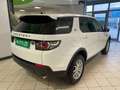 Land Rover Discovery Sport 2.0 TD4 150 CV Auto Business Edition Pure Wit - thumbnail 6