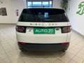Land Rover Discovery Sport 2.0 TD4 150 CV Auto Business Edition Pure Bianco - thumbnail 5