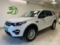 Land Rover Discovery Sport 2.0 TD4 150 CV Auto Business Edition Pure Bianco - thumbnail 3